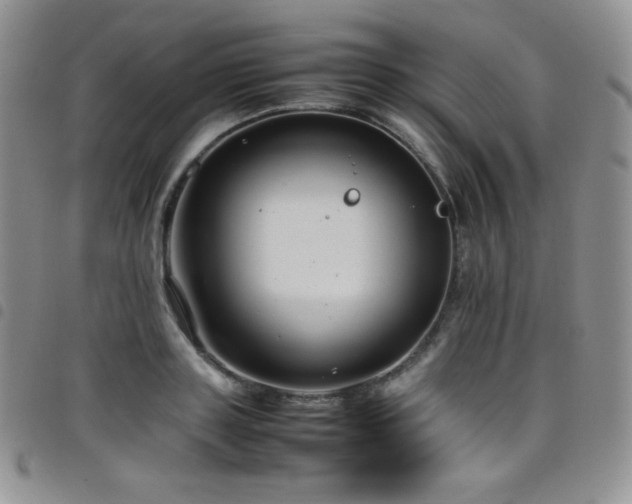 X0000099230843200804241451