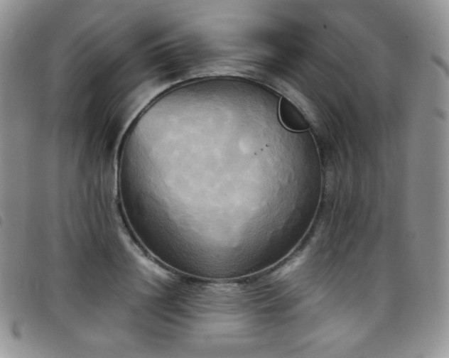 X0000099230844200804241451