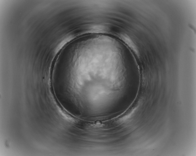 X0000099230845200804241451