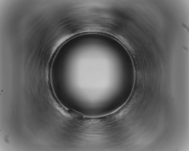 X0000099230846200804241451