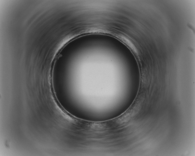 X0000099230847200804241451