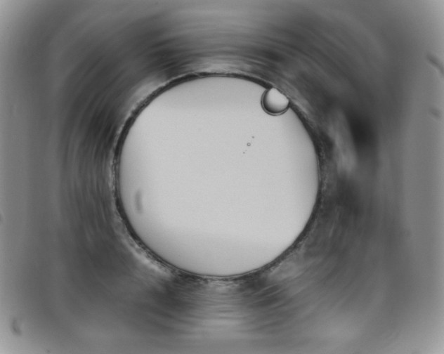 X0000099230848200804241451