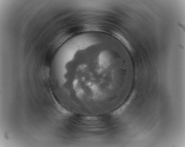X0000099230849200804241451