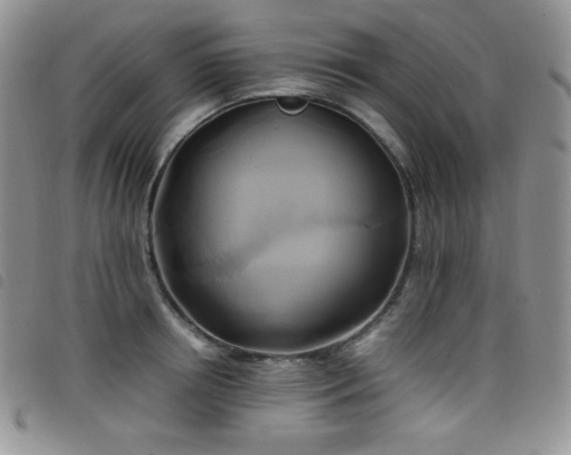 X0000099230850200804241451