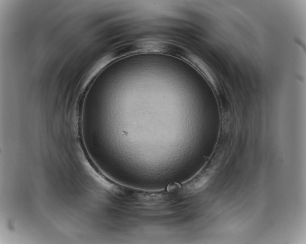 X0000099230851200804241451