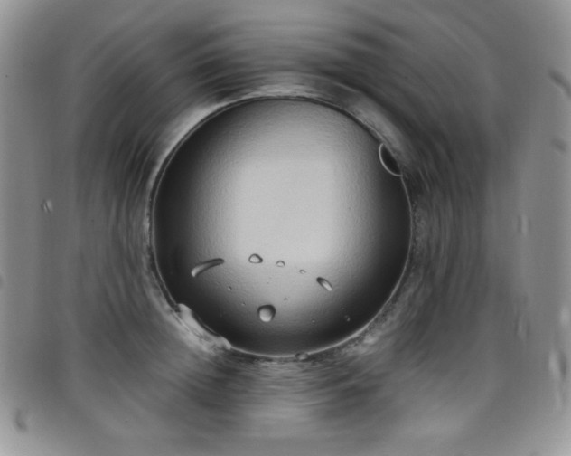 X0000099230852200804241451