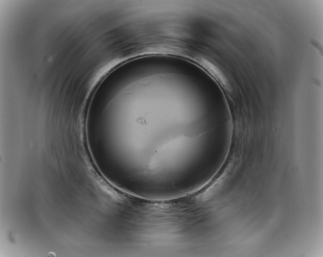 X0000099230854200804241451