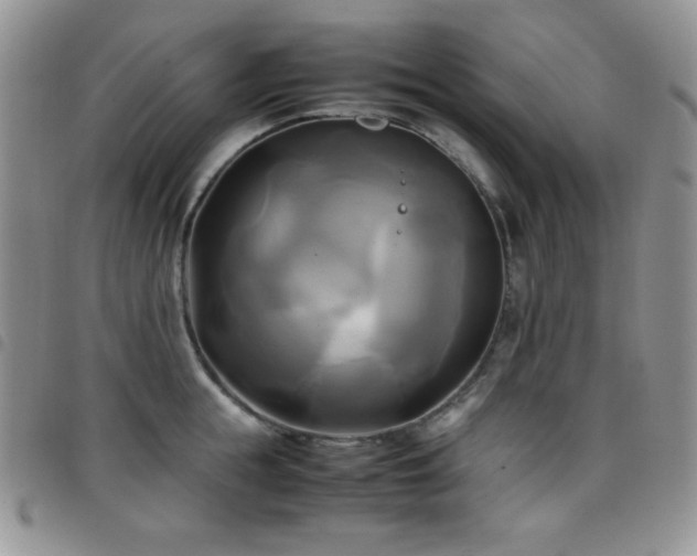 X0000099230855200804241451
