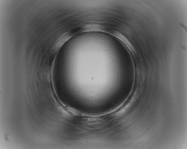 X0000099230857200804241451