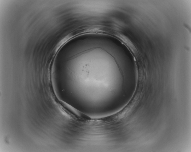 X0000099230858200804241451