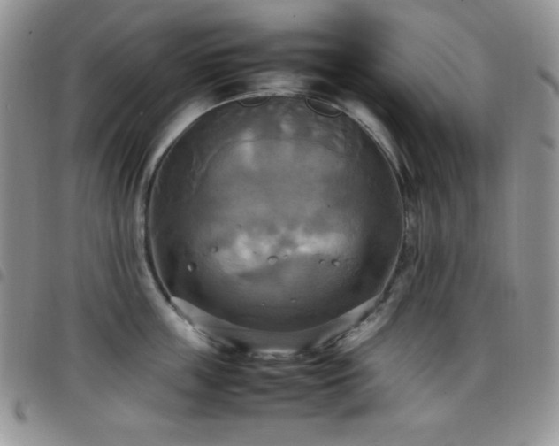 X0000099230859200804241451