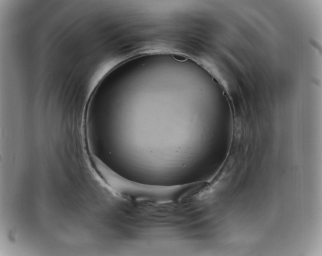X0000099230863200804241451