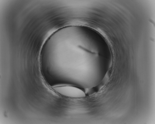 X0000099230864200804241451