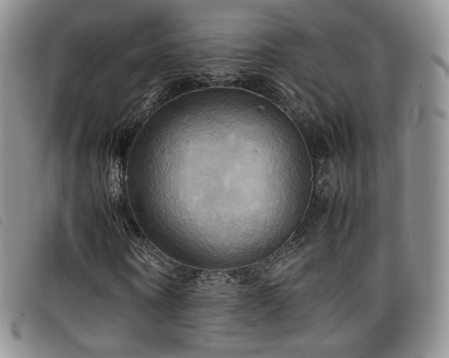 X0000099230866200804241451