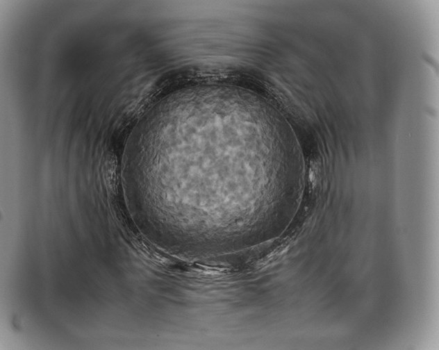 X0000099230867200804241451