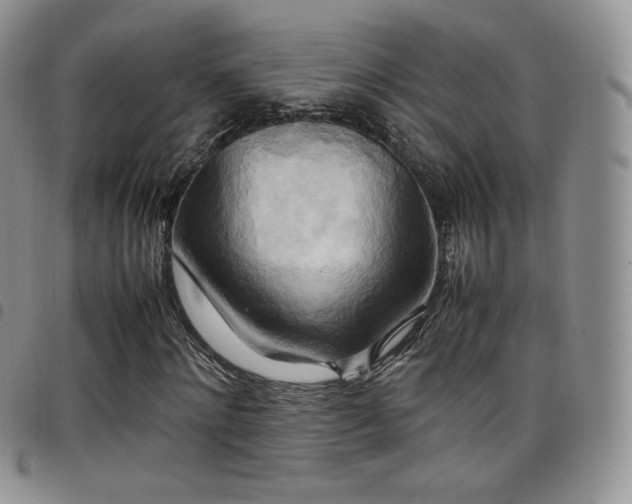 X0000099230868200804241451
