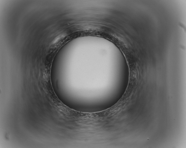 X0000099230869200804241451