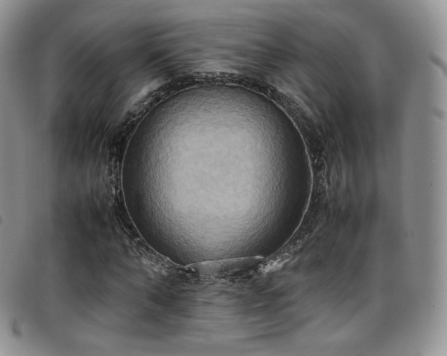 X0000099230870200804241451