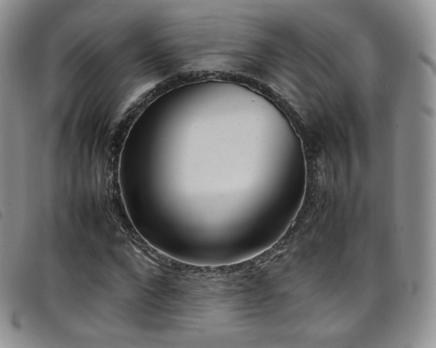 X0000099230872200804241451