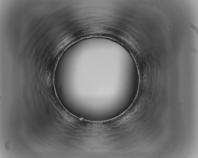 X0000099230873200804241451