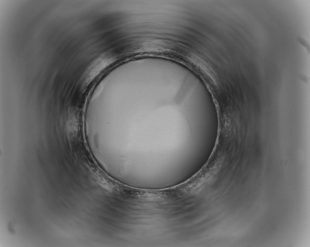 X0000099230874200804241451