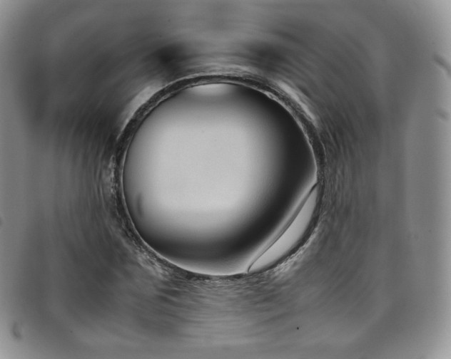 X0000099230875200804241451