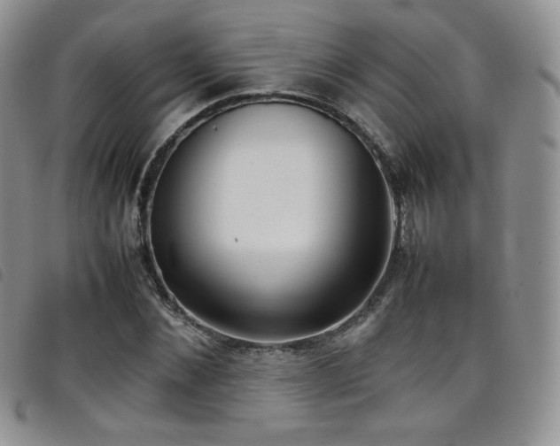 X0000099230876200804241451