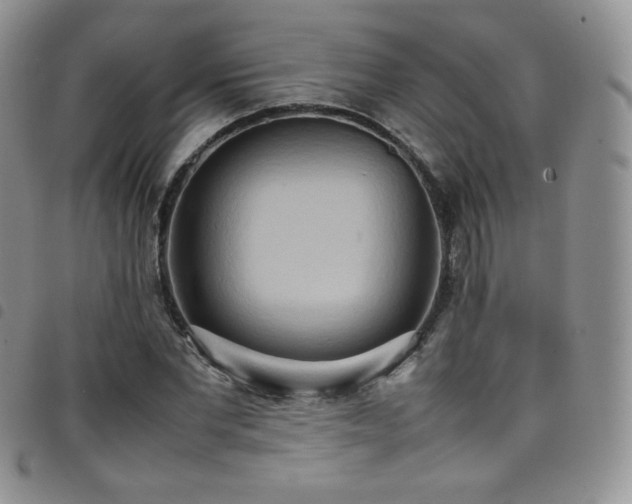 X0000099230877200804241451