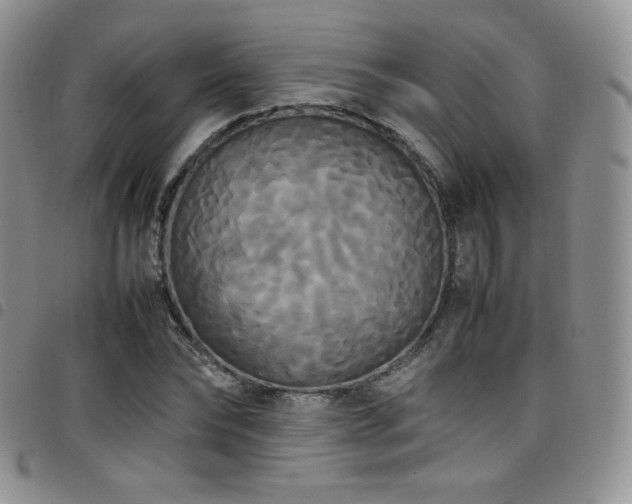 X0000099230878200804241451