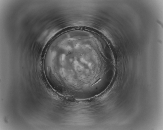 X0000099230879200804241451