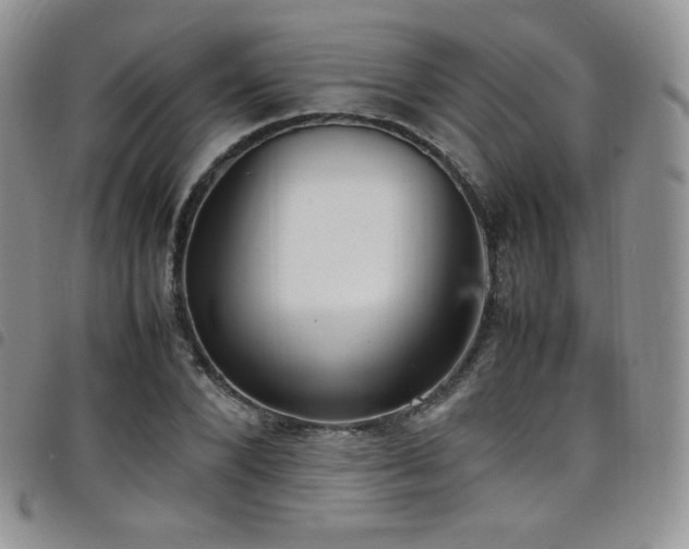 X0000099230880200804241451