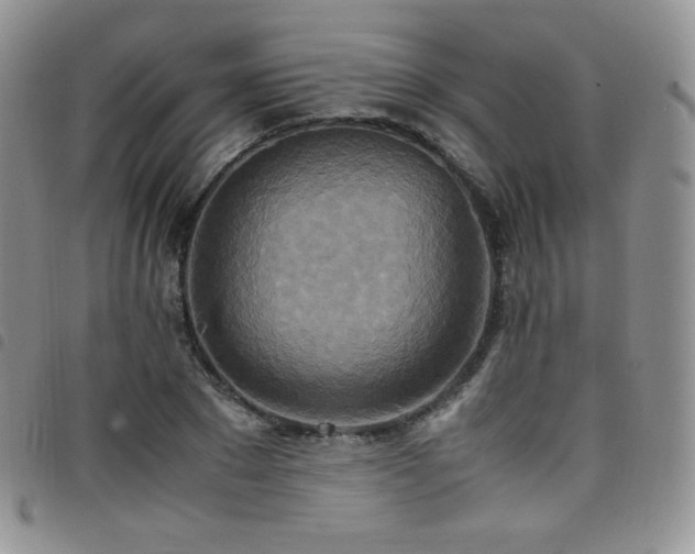 X0000099230881200804241451