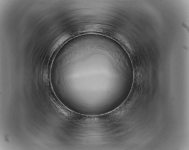 X0000099230882200804241451