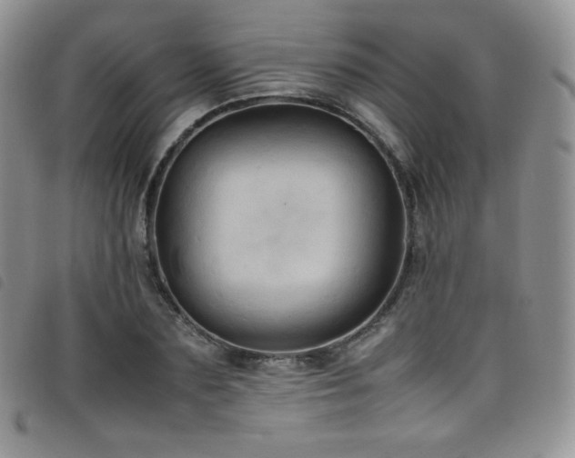 X0000099230883200804241451