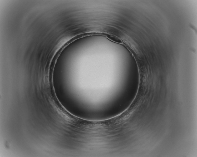 X0000099230884200804241451