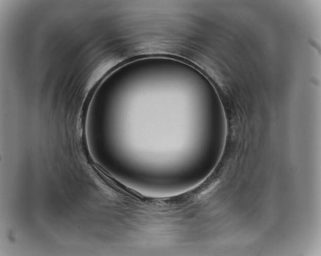 X0000099230885200804241451