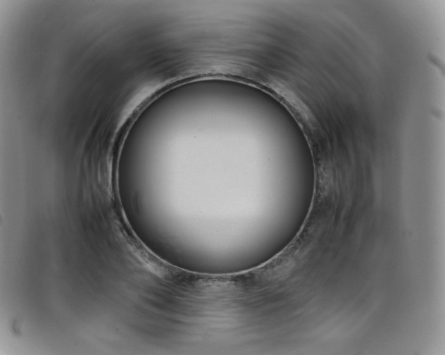 X0000099230886200804241451