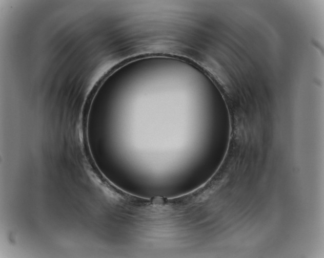 X0000099230888200804241451