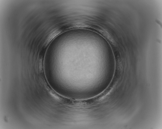 X0000099230889200804241450
