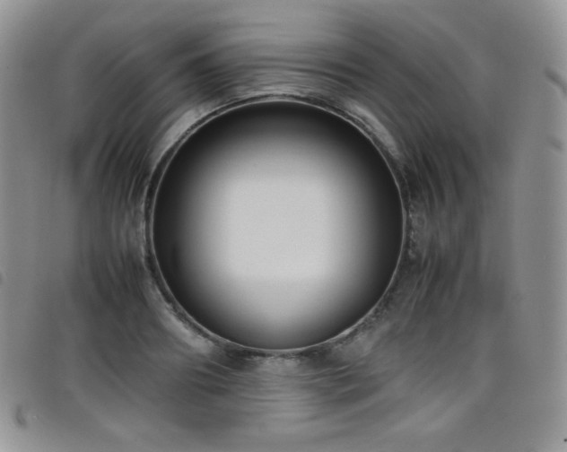 X0000099230890200804241450