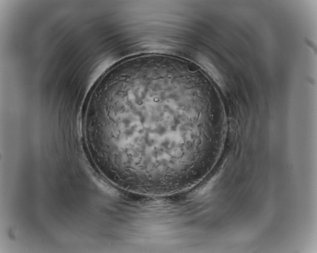 X0000099230891200804241450