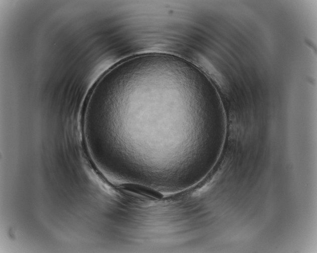 X0000099230892200804241450