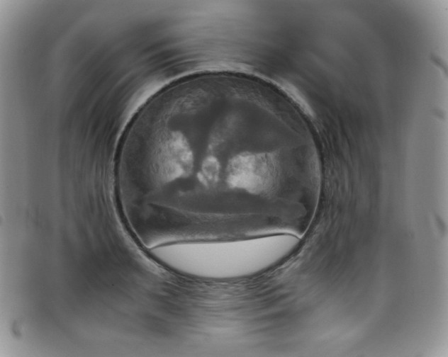 X0000099230895200804241450