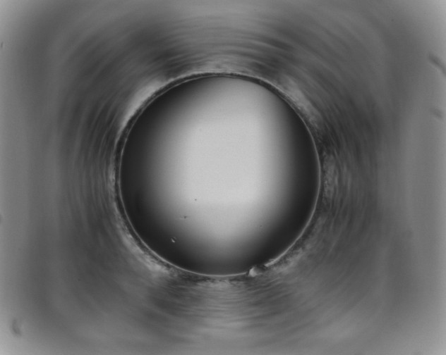 X0000099230896200804241450