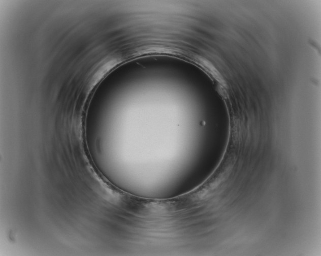 X0000099230898200804241450