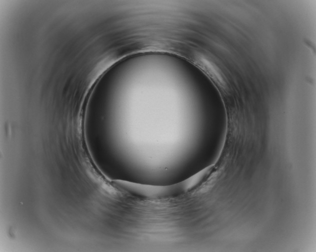 X0000099230900200804241450