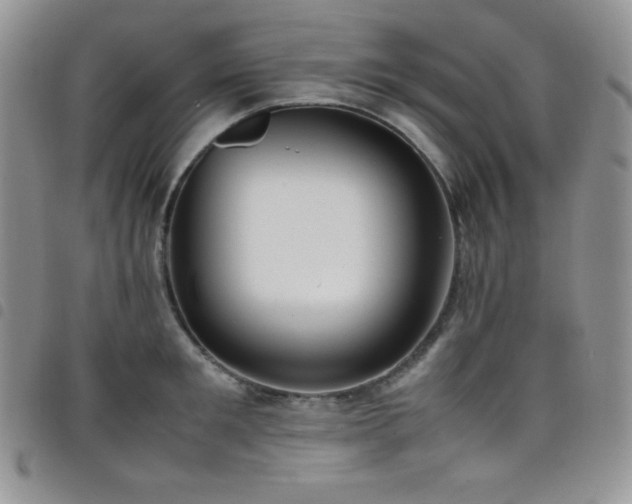 X0000099230901200804241450