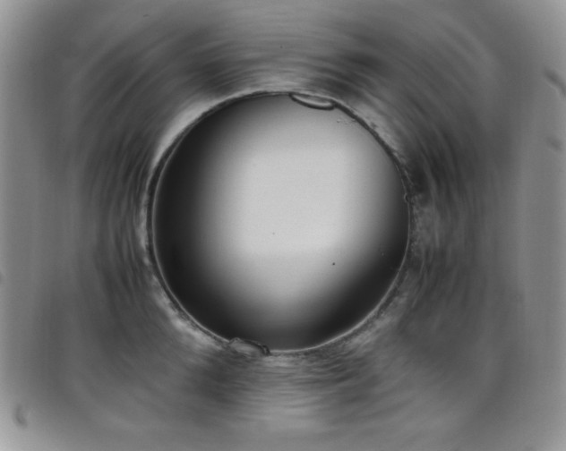 X0000099230904200804241450