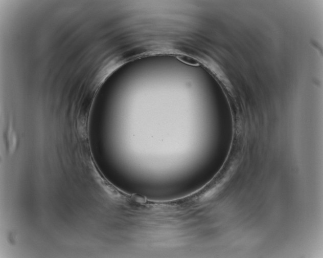 X0000099230905200804241450