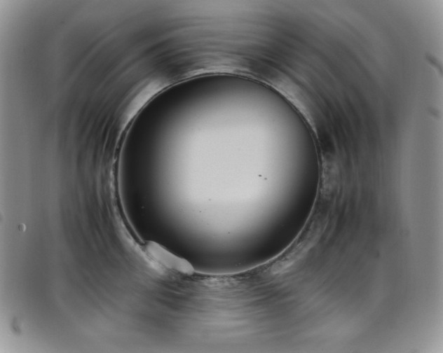 X0000099230906200804241450
